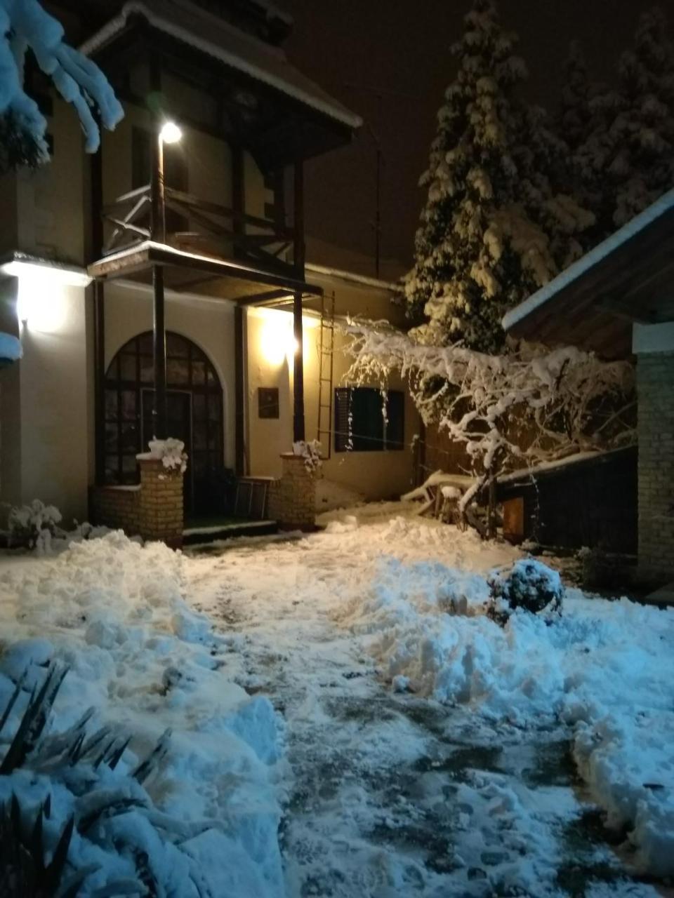 Nemeth Apartman Palić Eksteriør billede